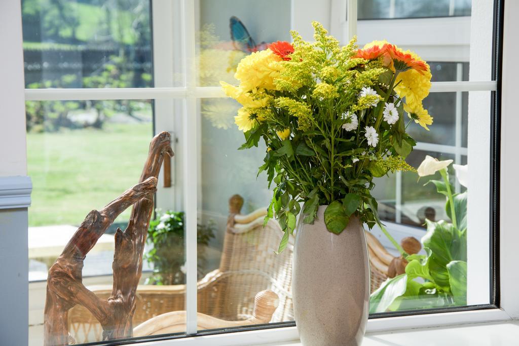 The Rose Garden Bed & Breakfast And Cafe Kenmare Kültér fotó