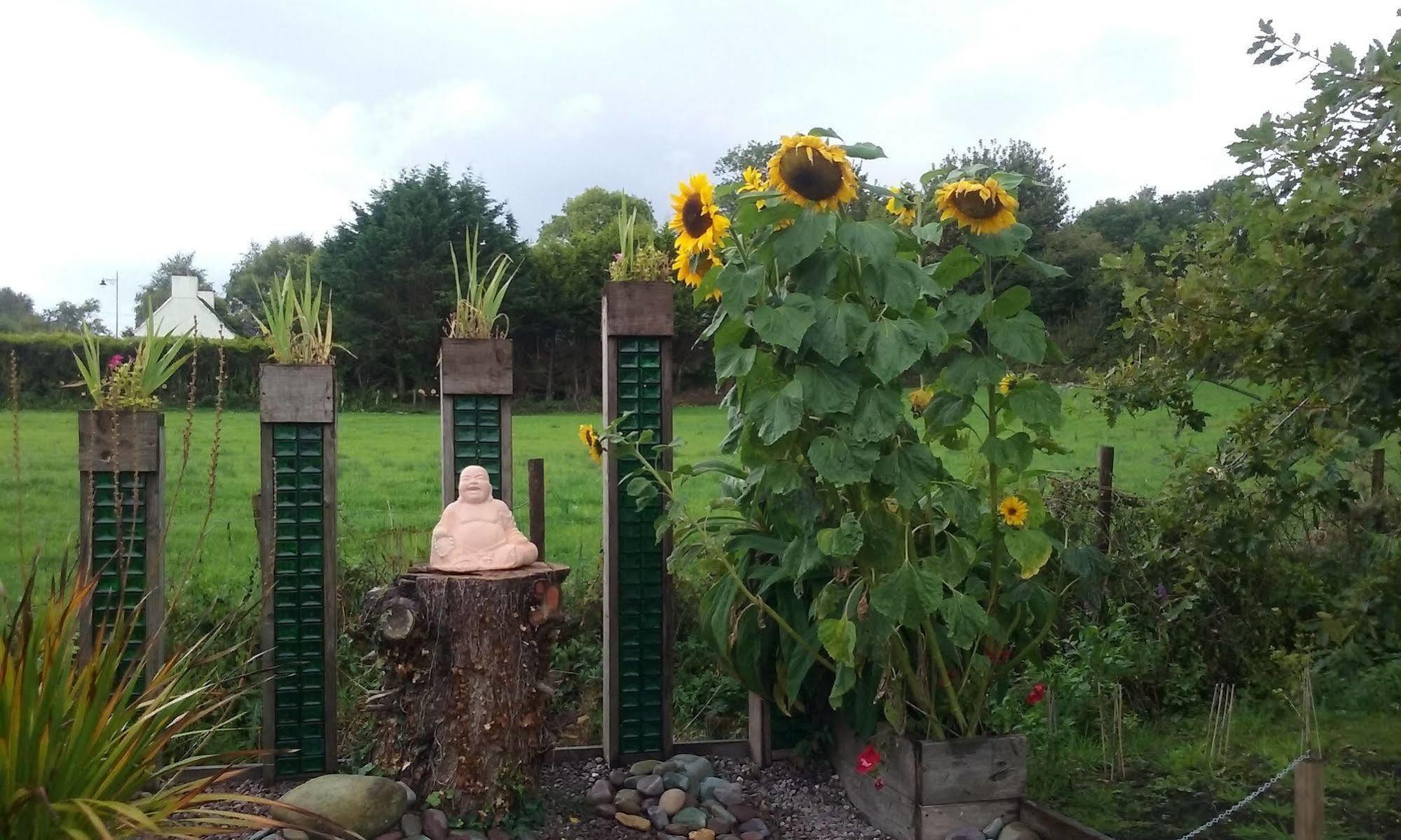 The Rose Garden Bed & Breakfast And Cafe Kenmare Kültér fotó